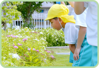 みさと団地みやおか幼稚園